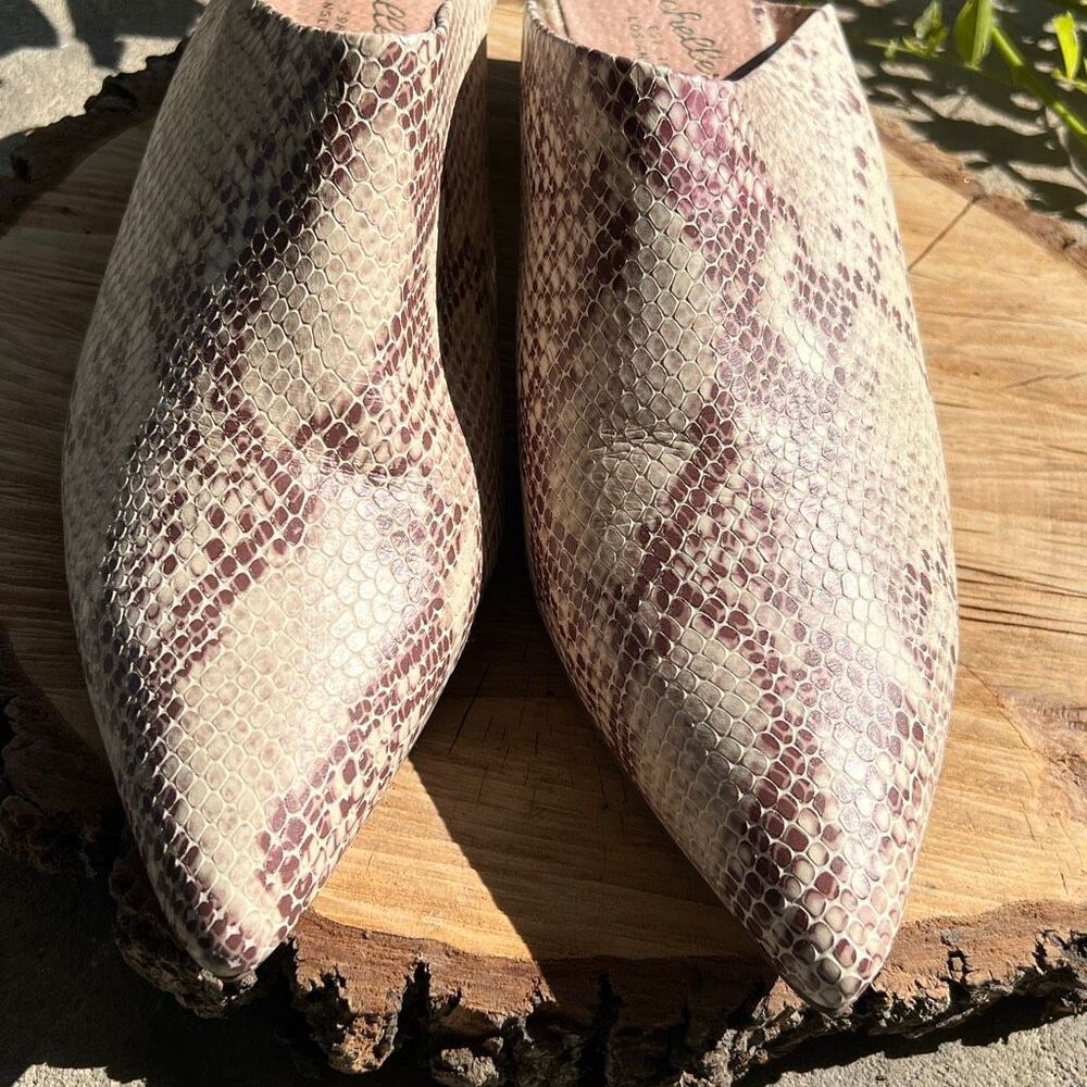 Seychelles Clara Snakeskin Leather Mules Cream/Brown Size 10 Nwot - Picture 2 of 7